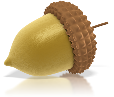 Acorn PNG images, free, acorns