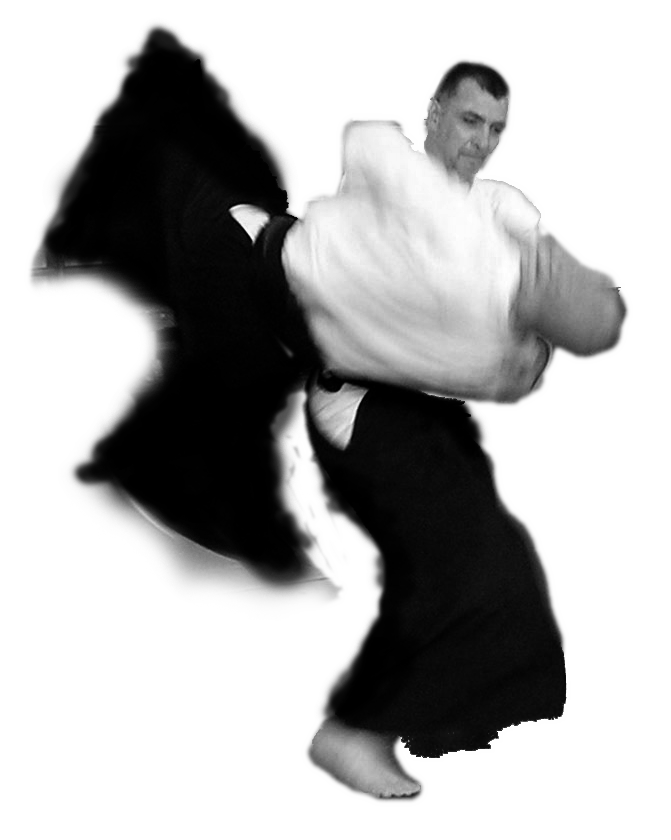 Aikido PNG image free Download 