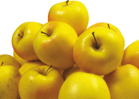 Желтые яблоки PNG