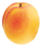 Apricot PNG images