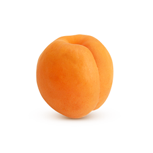 Apricot PNG images Download 