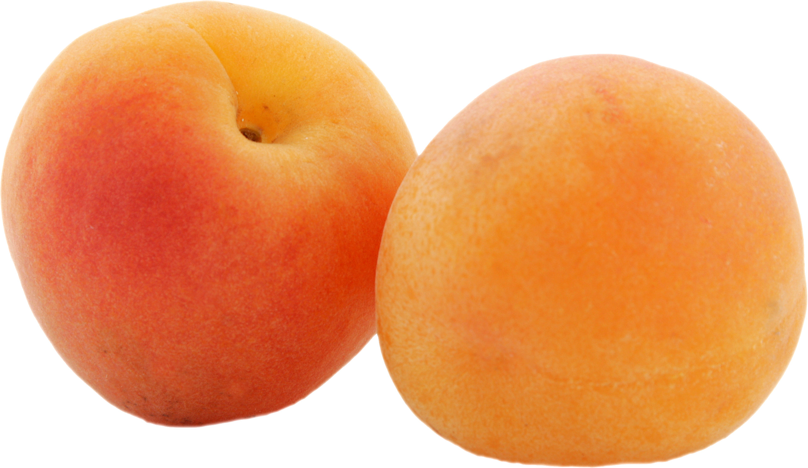Apricot PNG images Download 