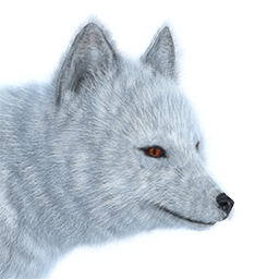 Arctic fox PNG images