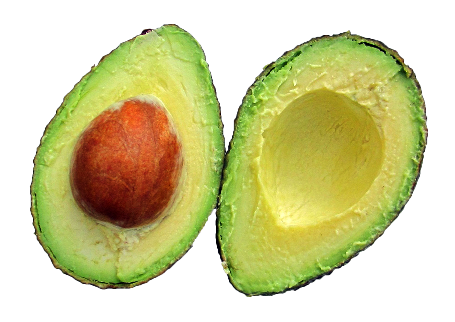 Aguacate PNG