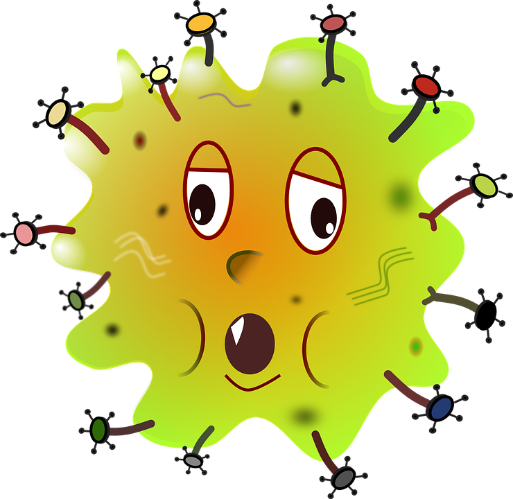 Bacteria PNG images Download 