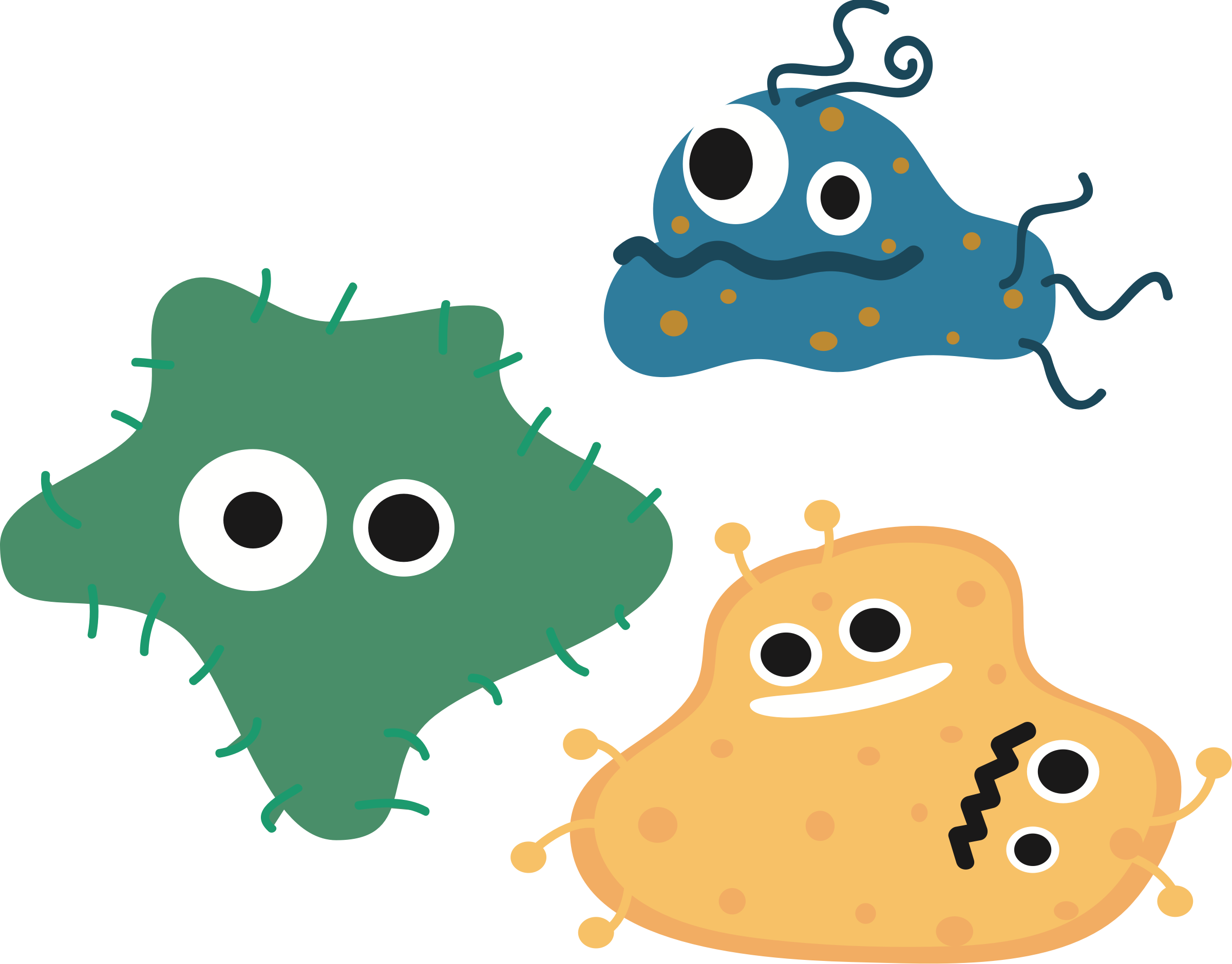 Bacteria PNG