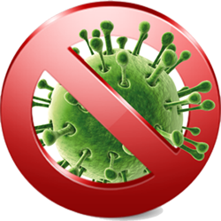 Bacteria PNG