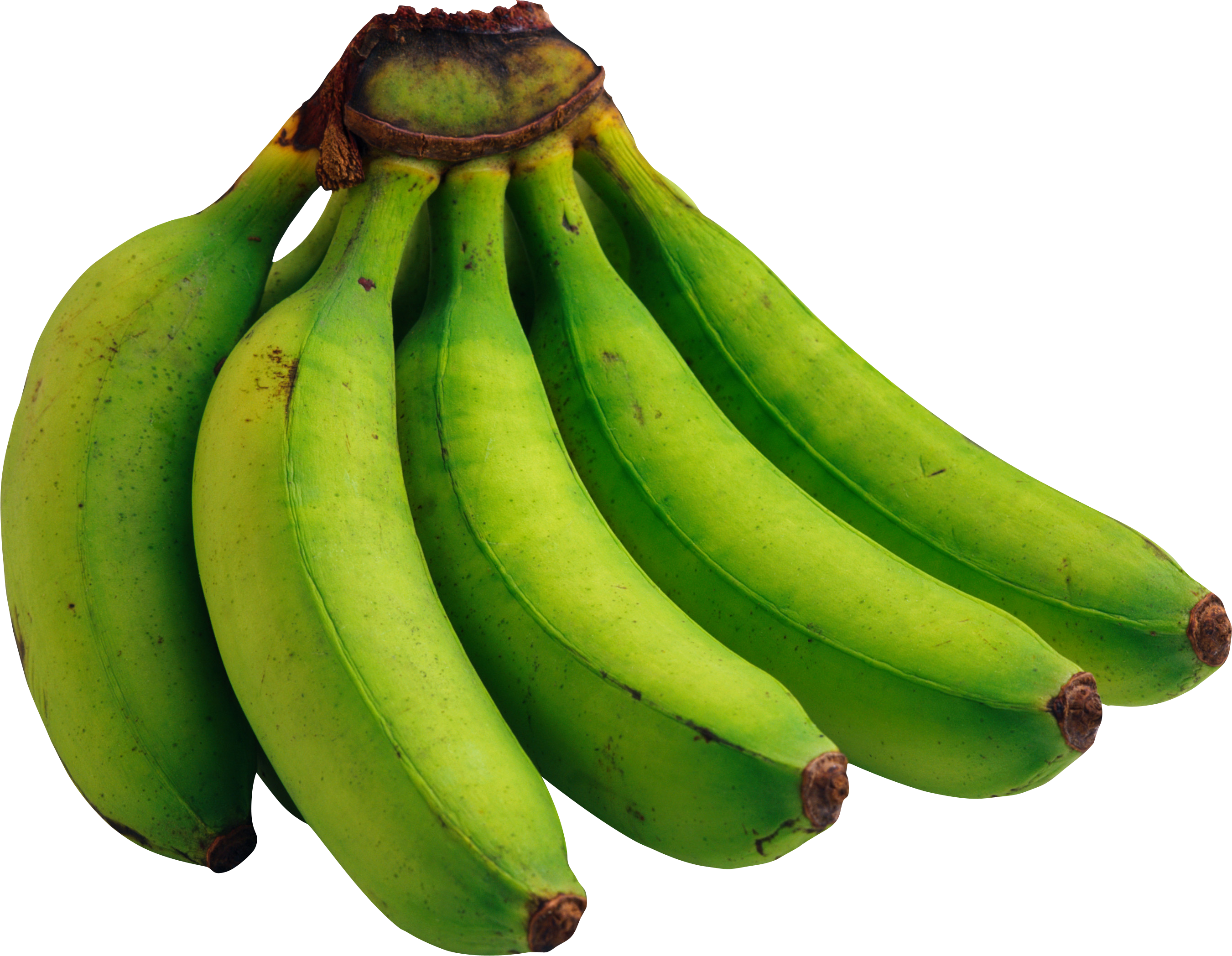 green bananas PNG image, free picture