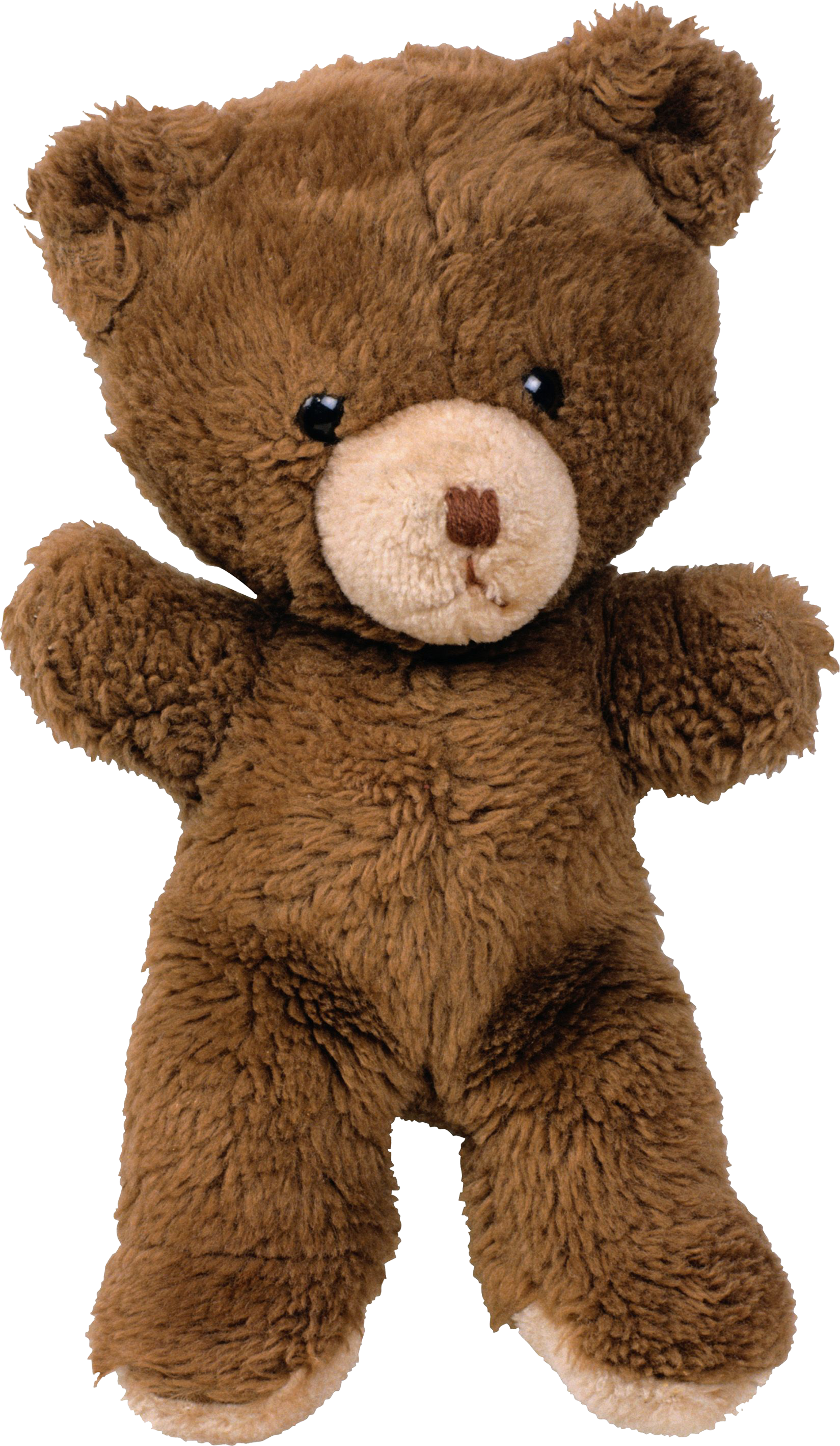 toy Bear PNG image free Download image