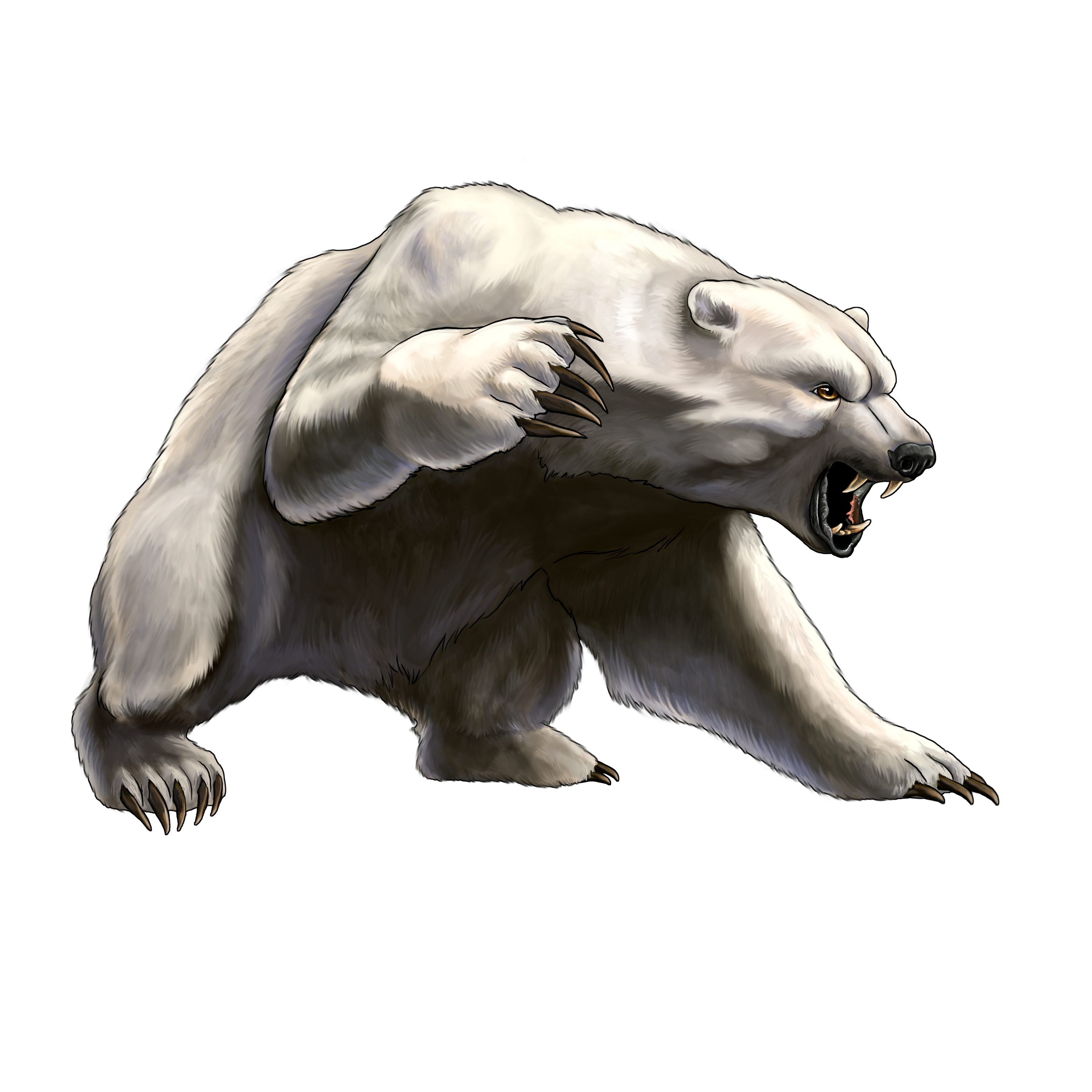 white angry Bear PNG image free Download image