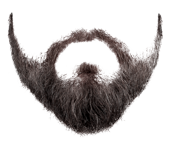 Beard PNG image free Download  image