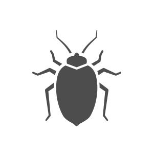 Bed bug PNG images Download 