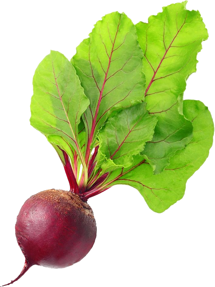 Beet PNG