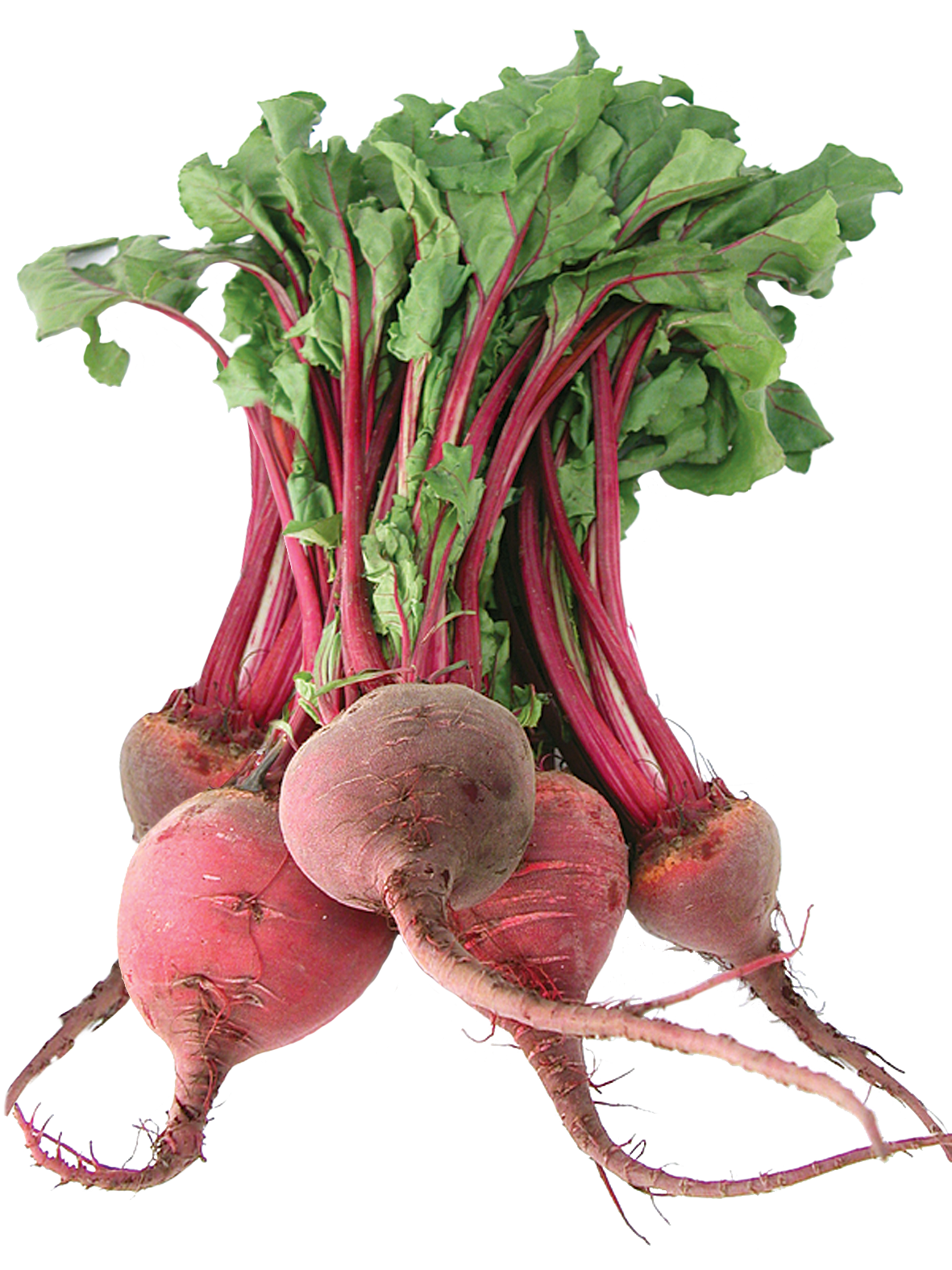 Beet PNG