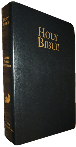 Holy bible PNG images 