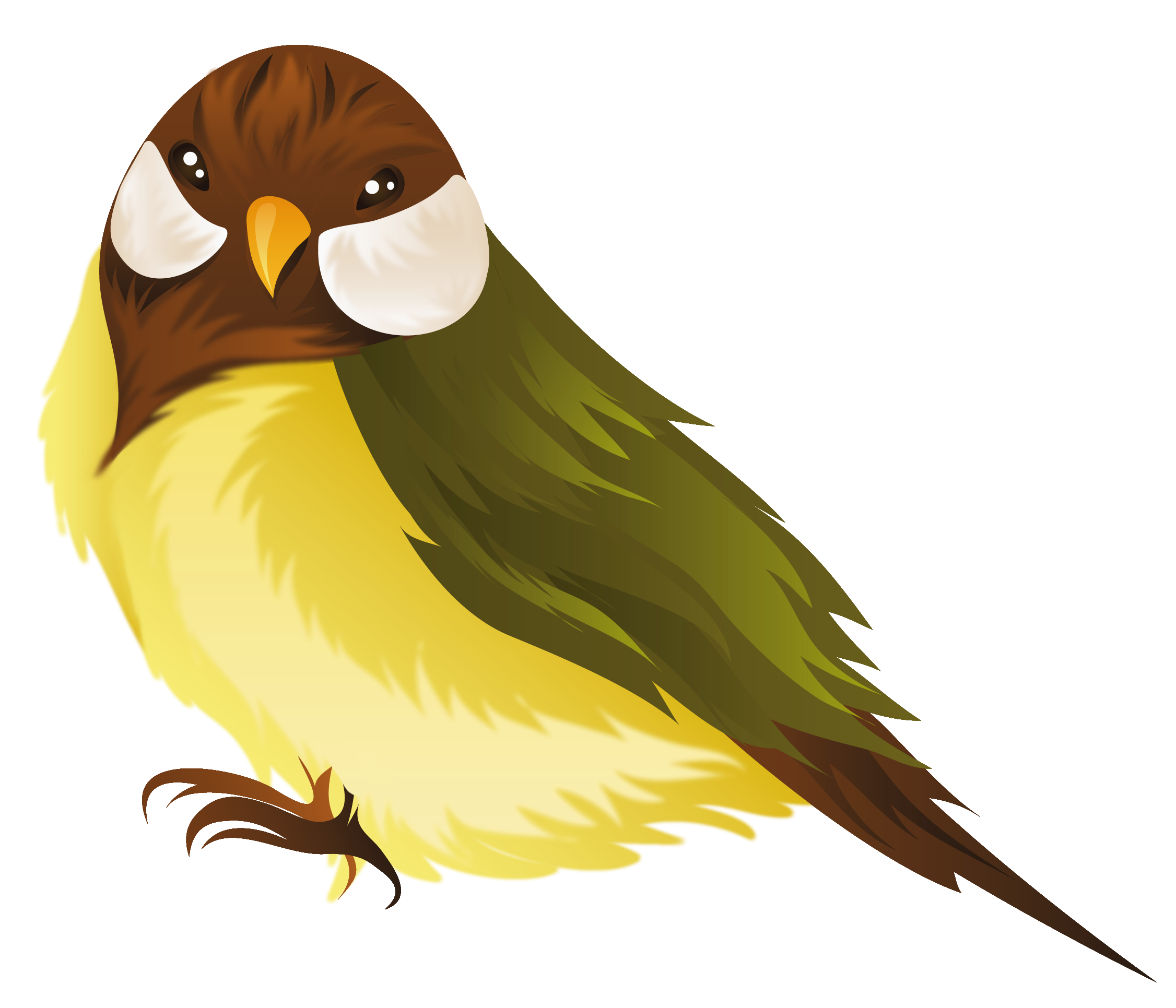 Bird PNG