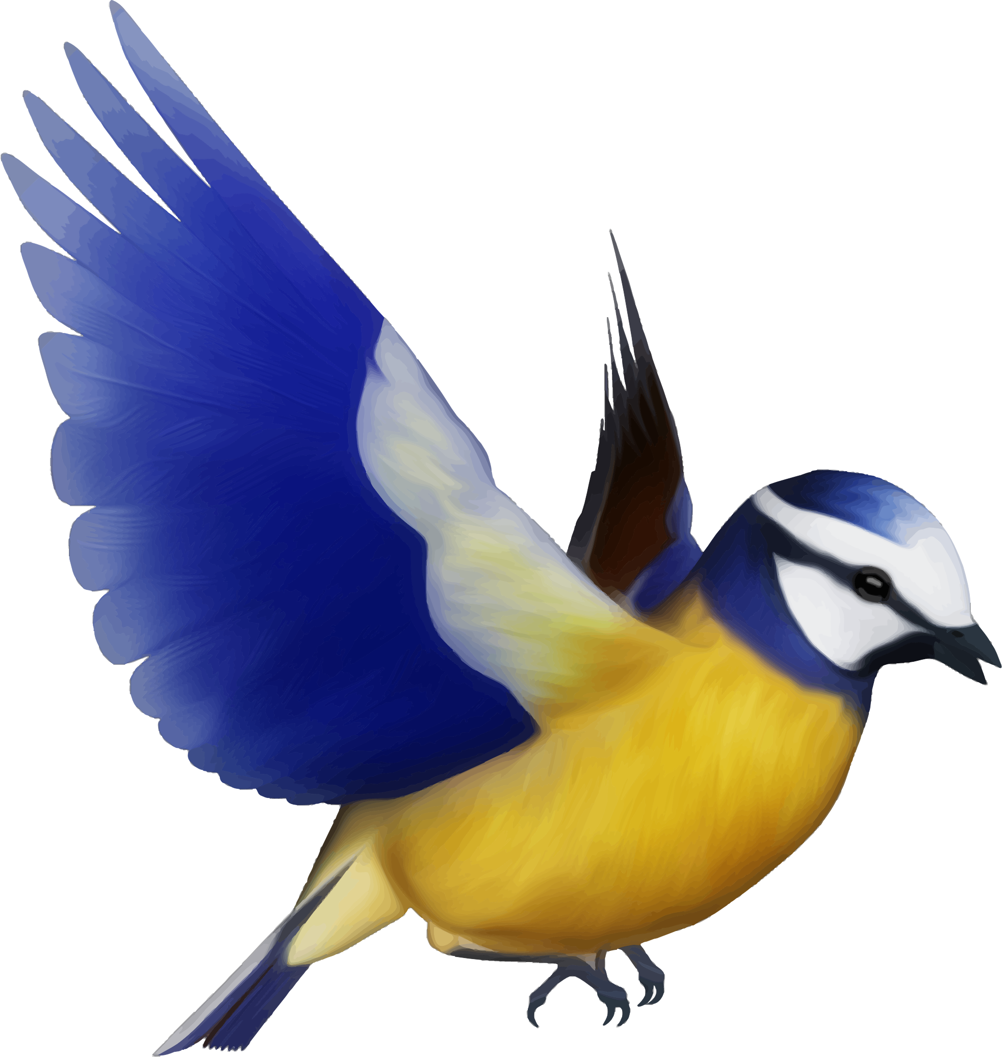 Bird PNG