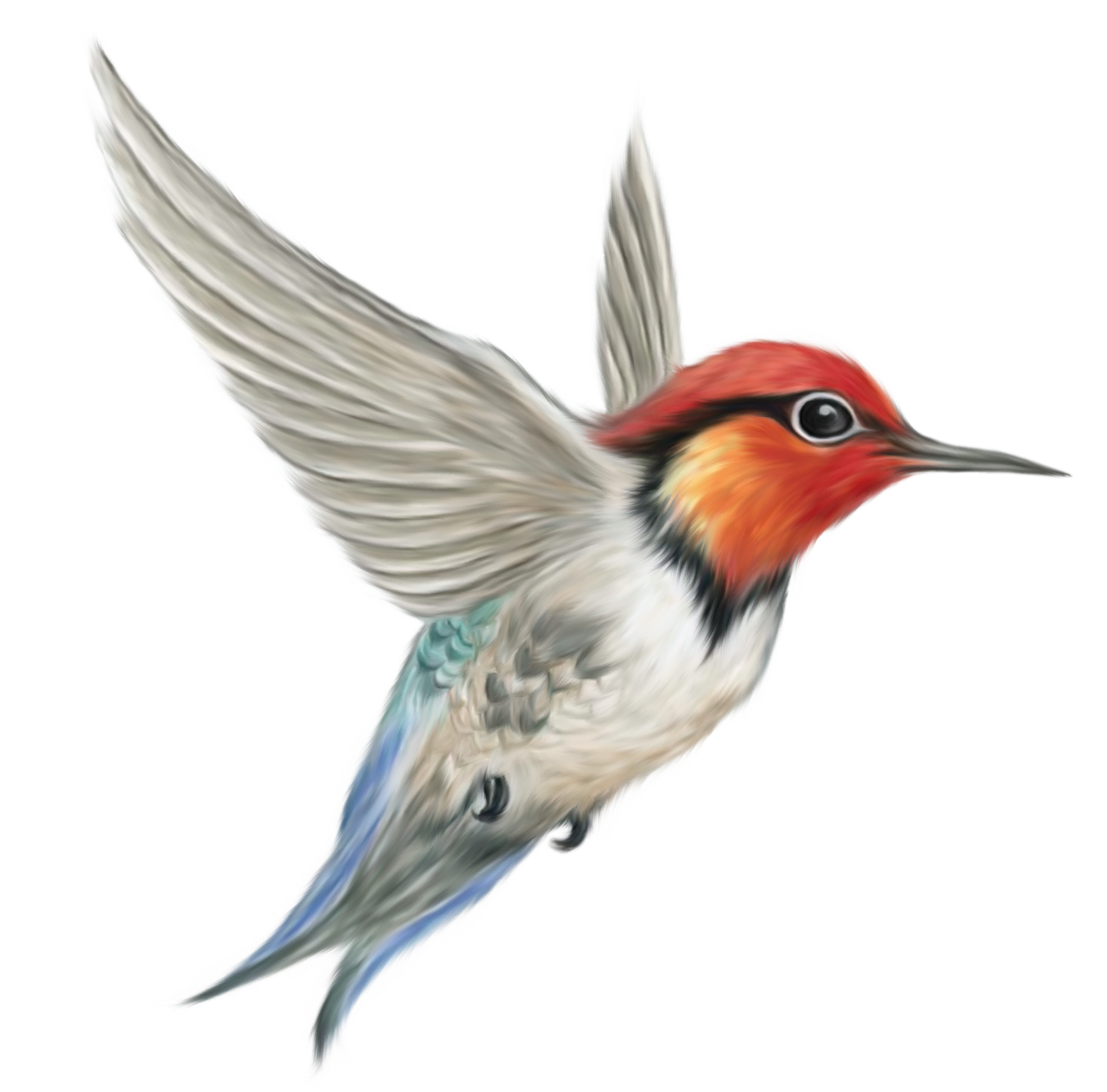 Bird PNG