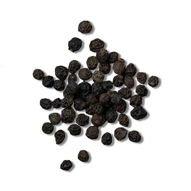 Black pepper PNG images free download