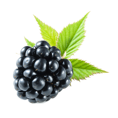 Blackberry PNG images
