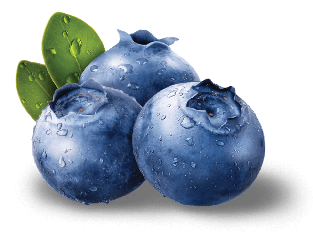 Blueberries PNG