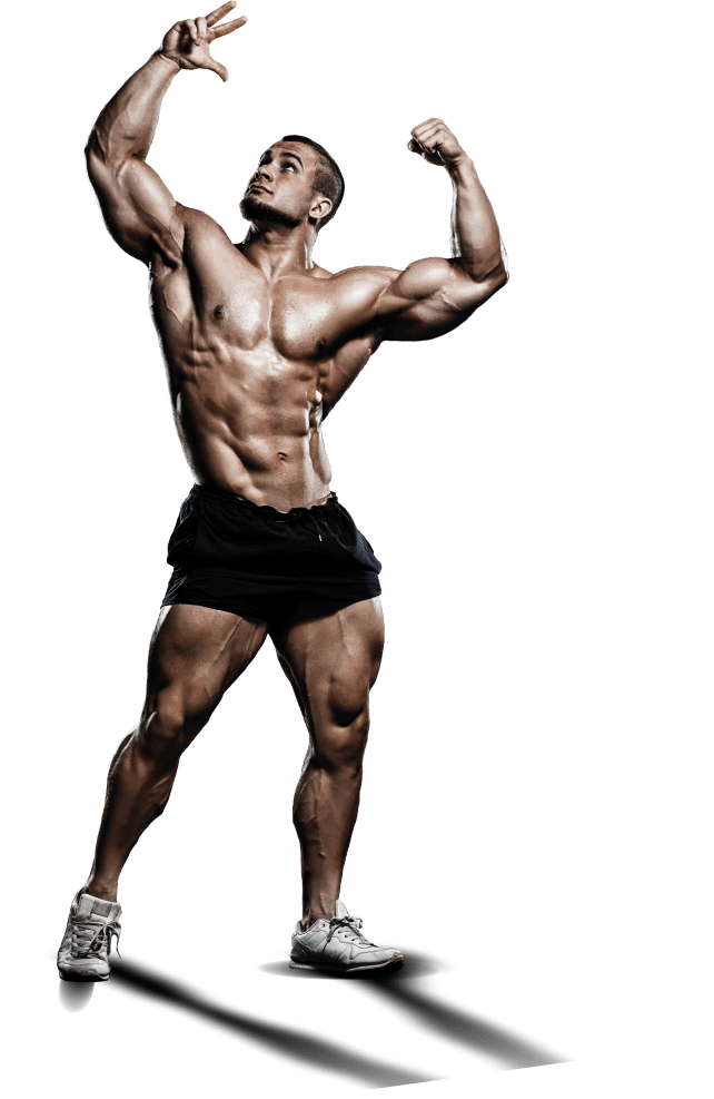 Bodybuilding PNG images 