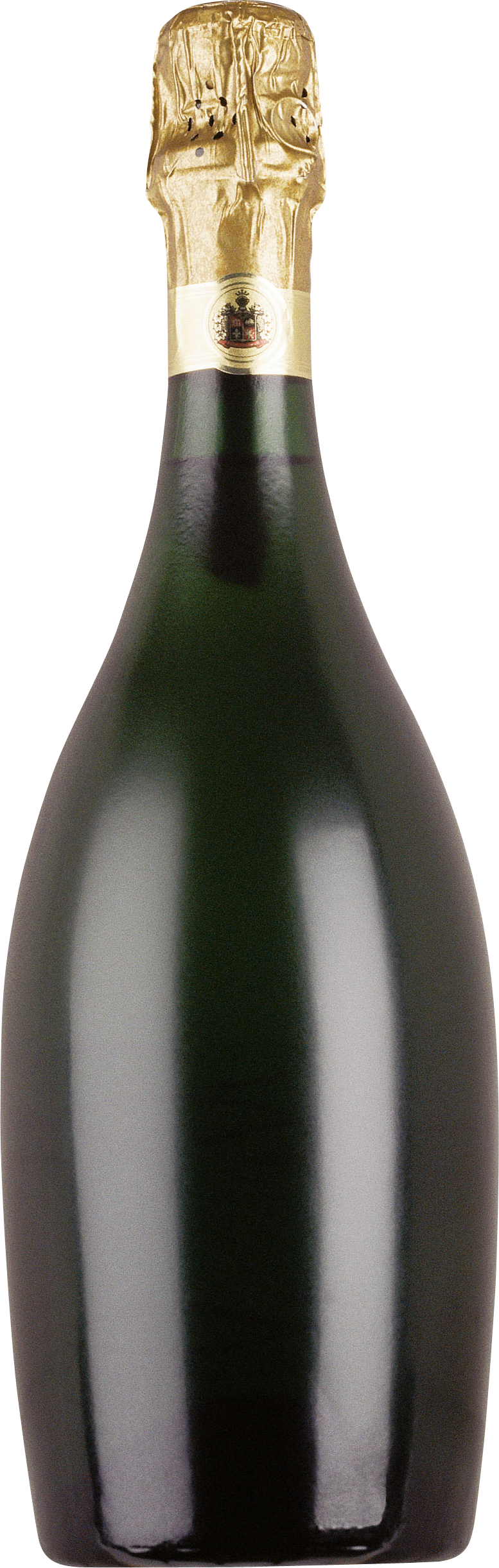 Champagne bottle PNG image