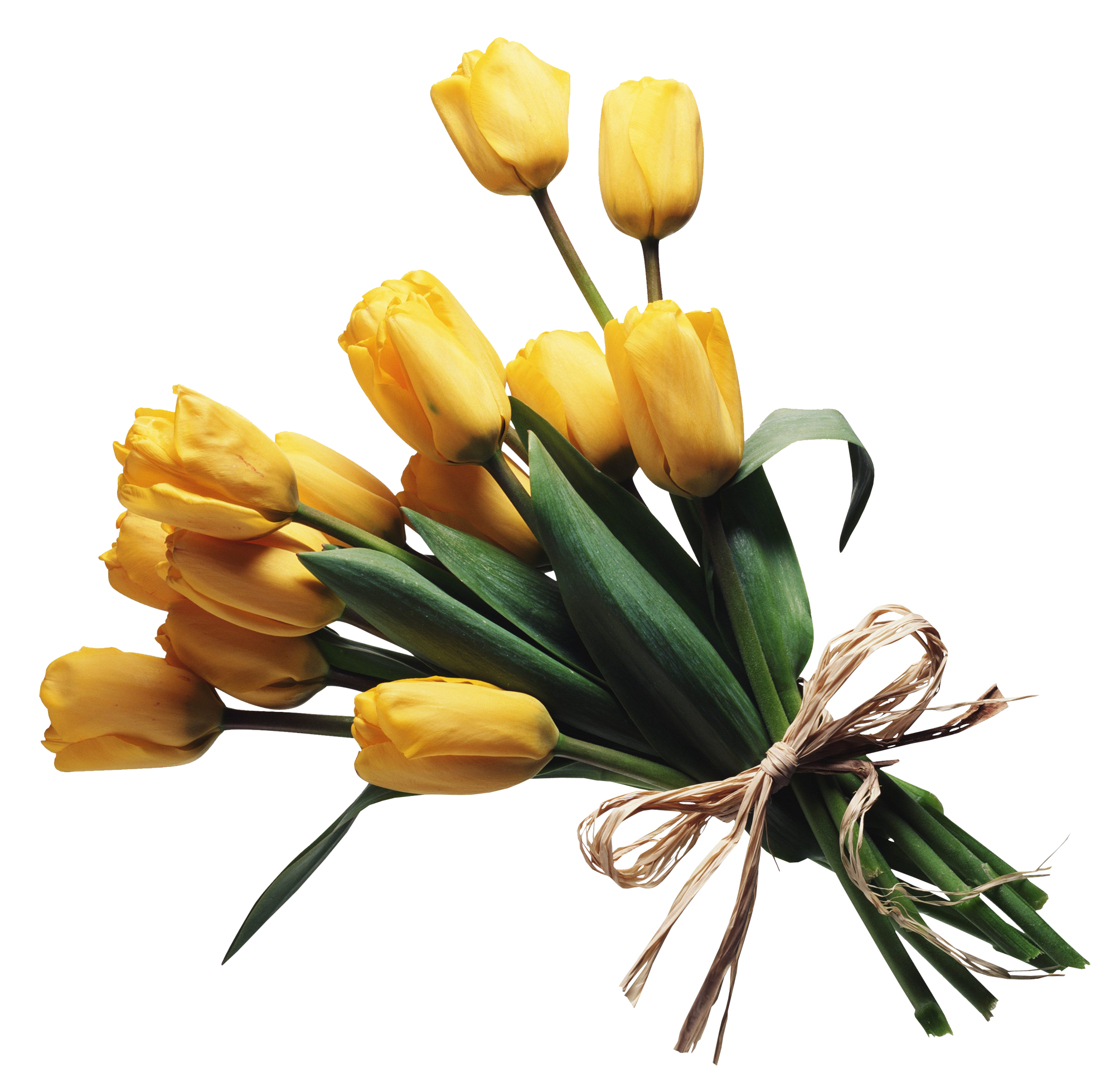 Ramo de flores PNG