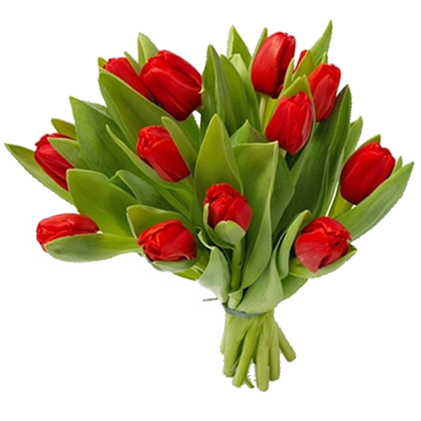 Bouquet flowers PNG