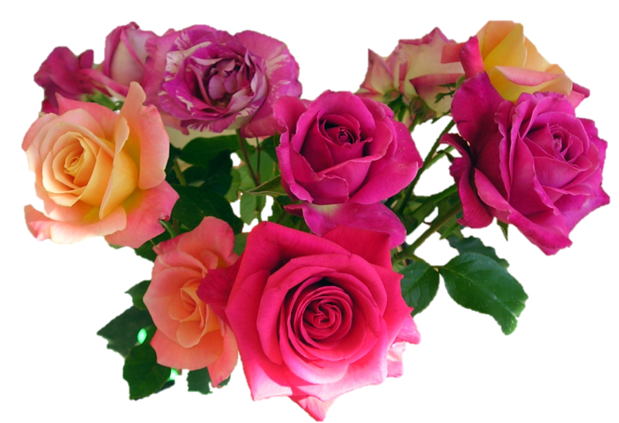 Ramo de flores PNG