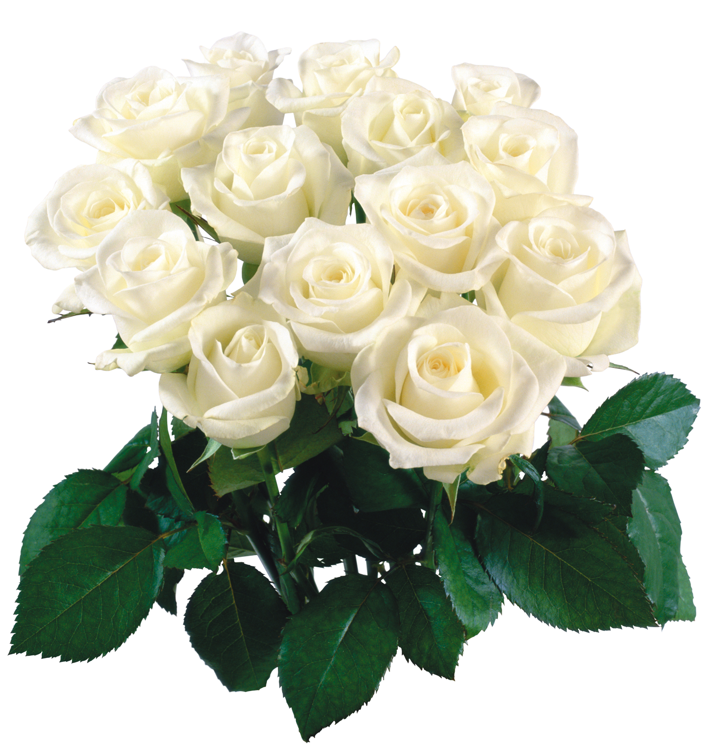 Ramo de flores PNG