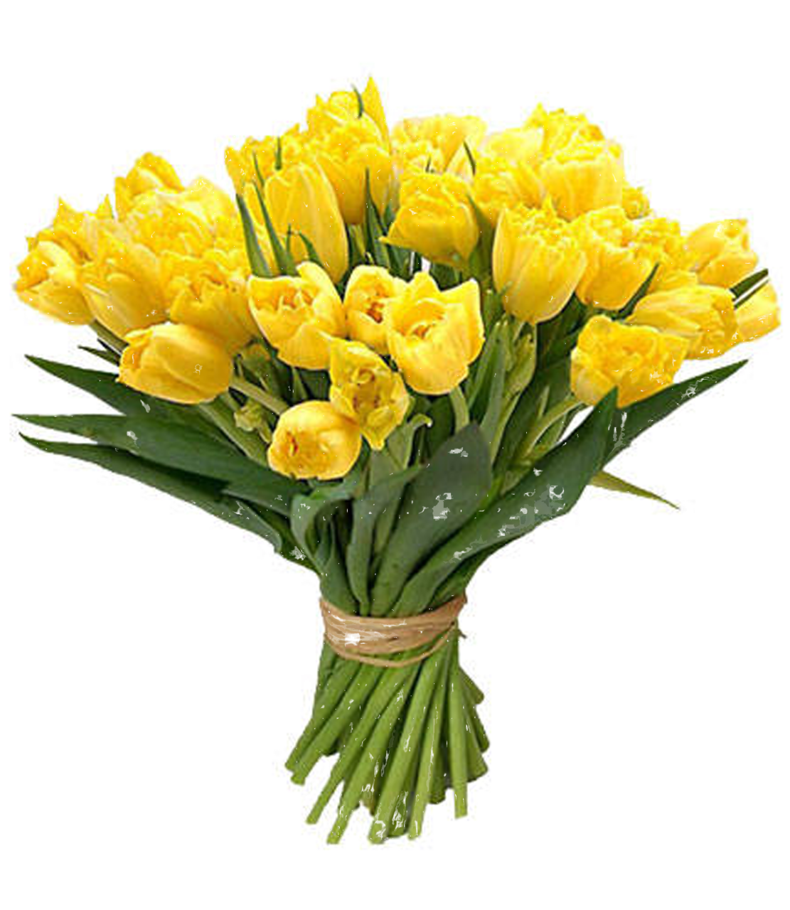 Bouquet of flowers PNG images free download