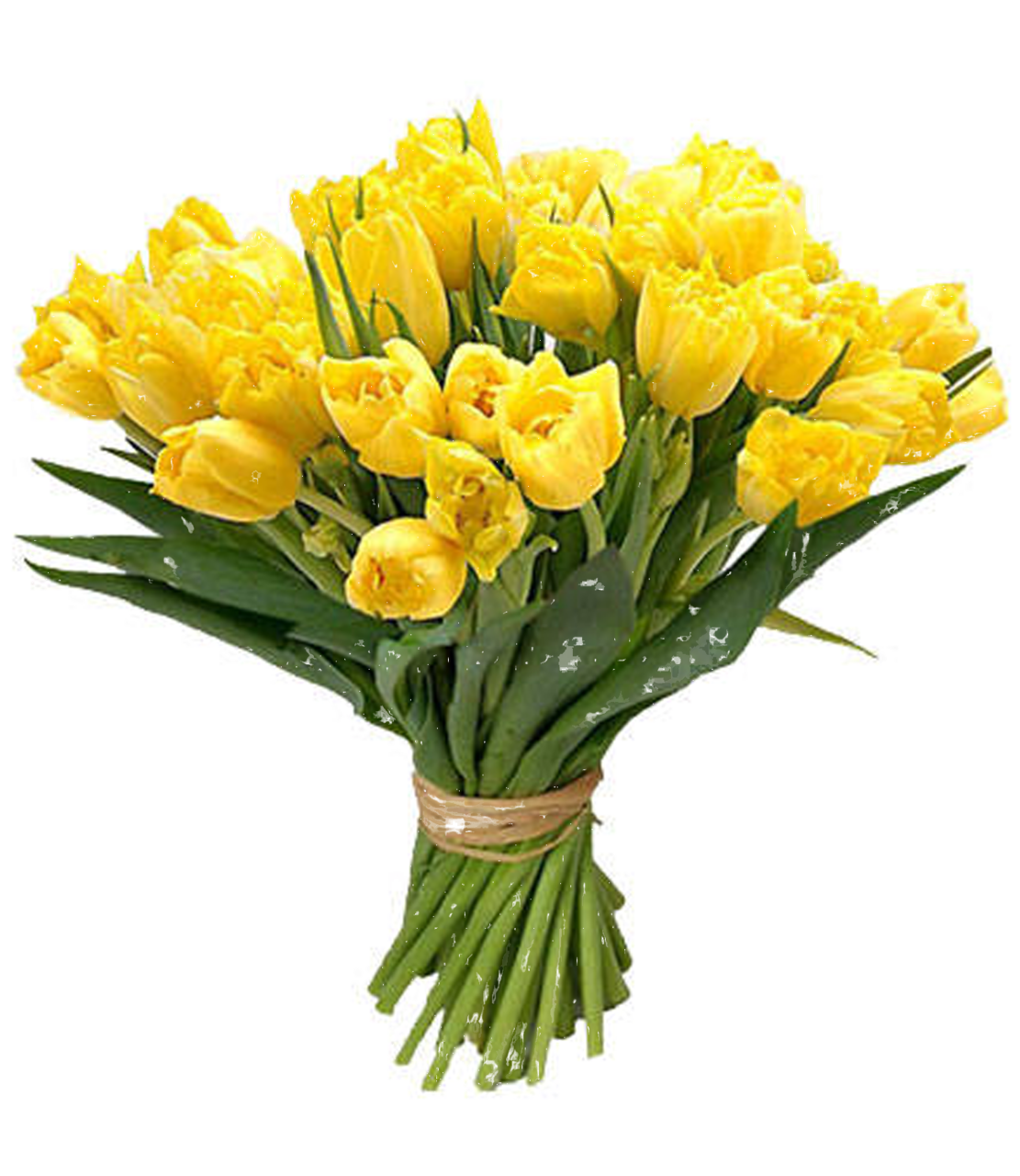 Ramo de flores PNG