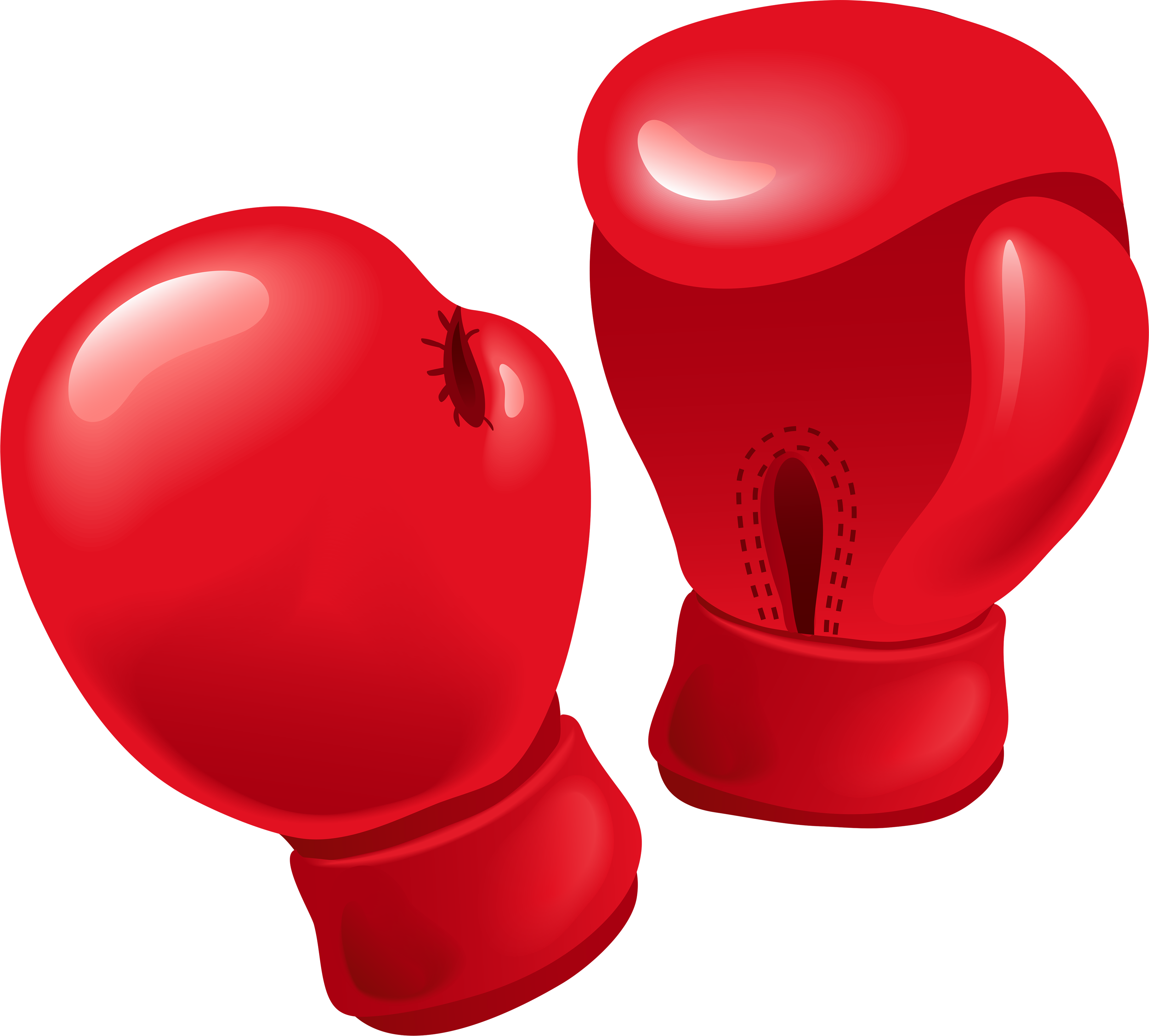 Image result for boxing png