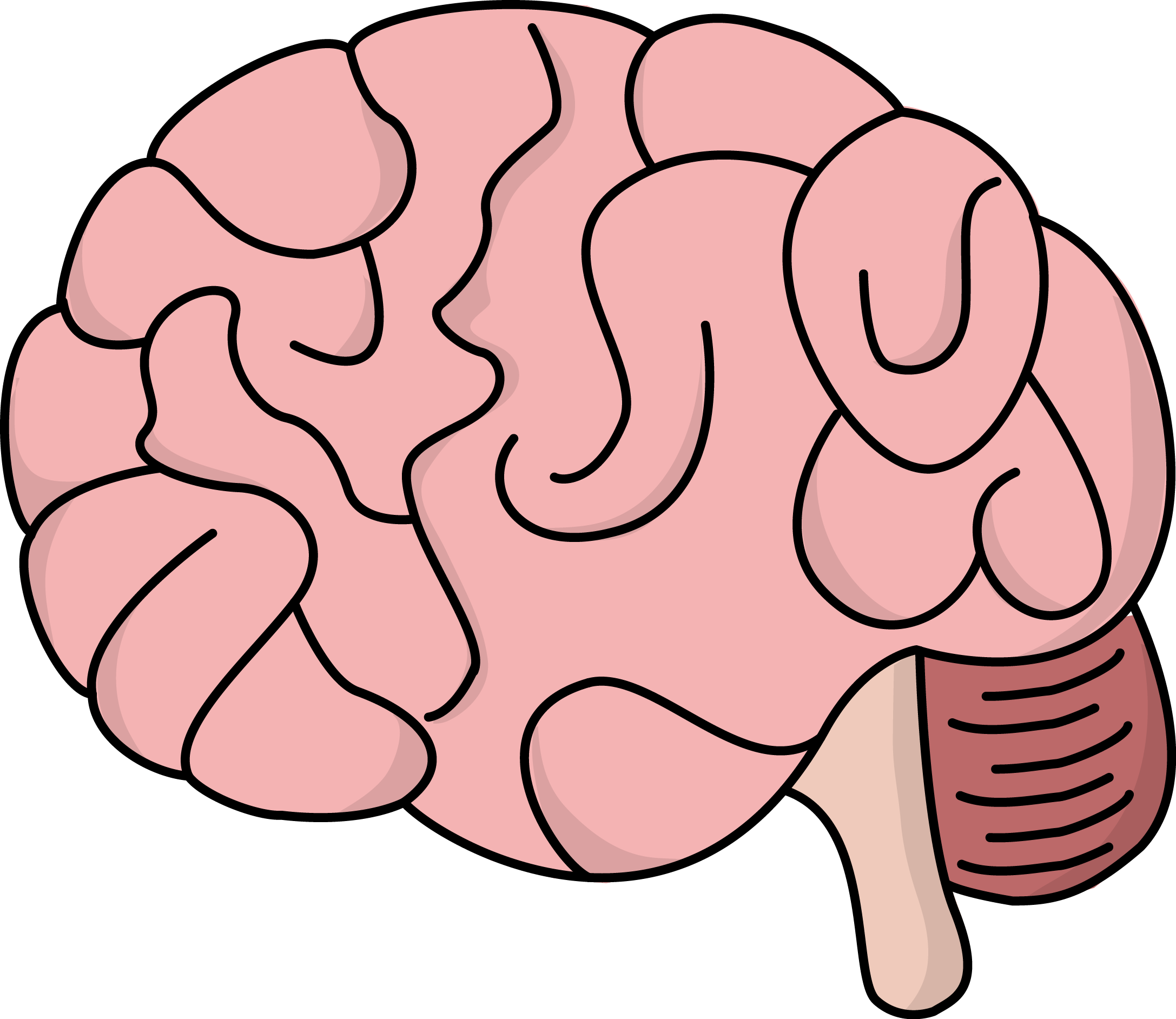 free download brain illustration