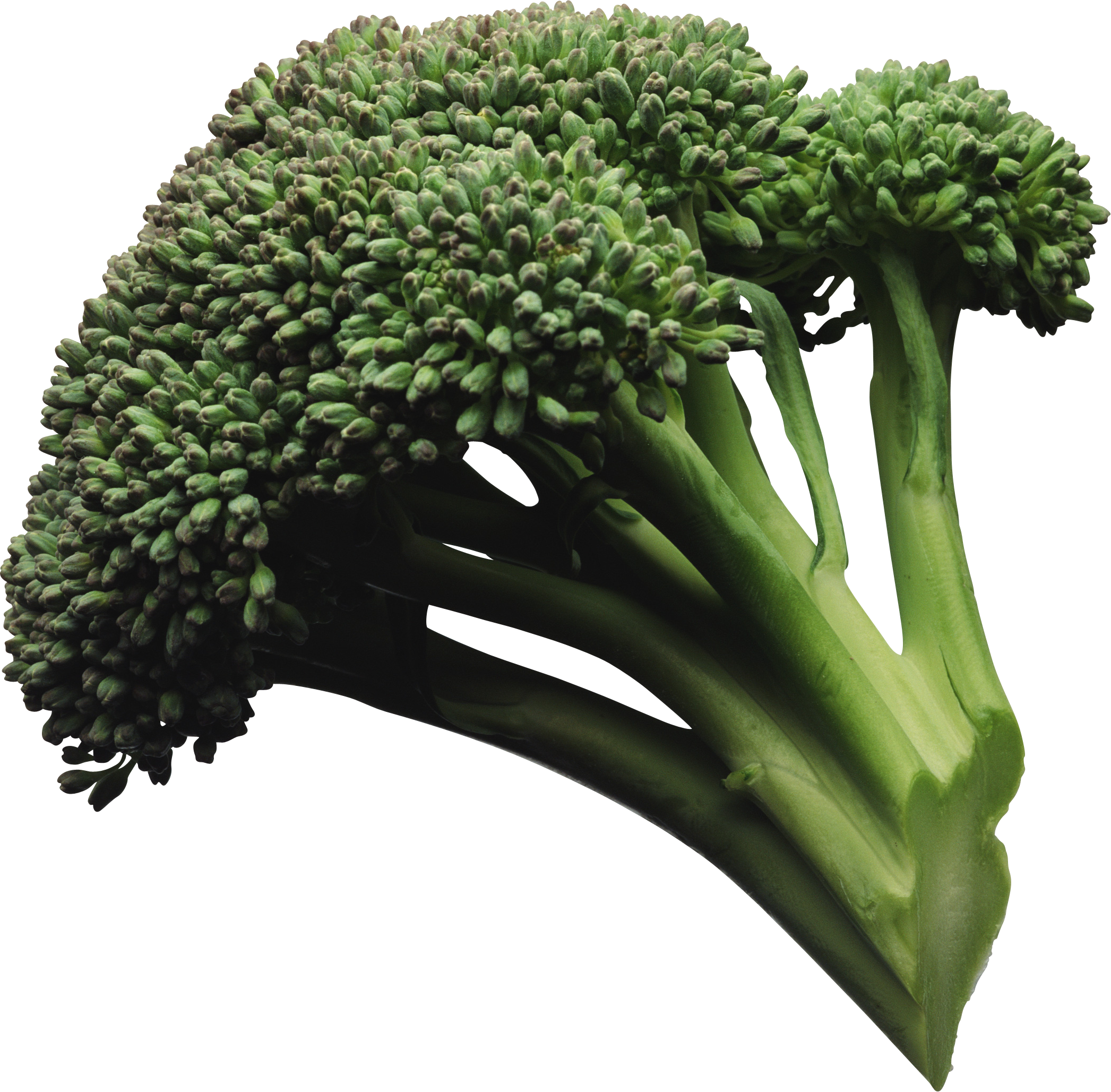 Broccoli PNG images Download