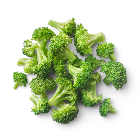 Brócoli PNG