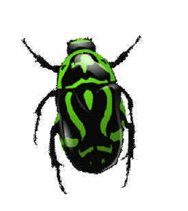 Bugs PNG images Download 