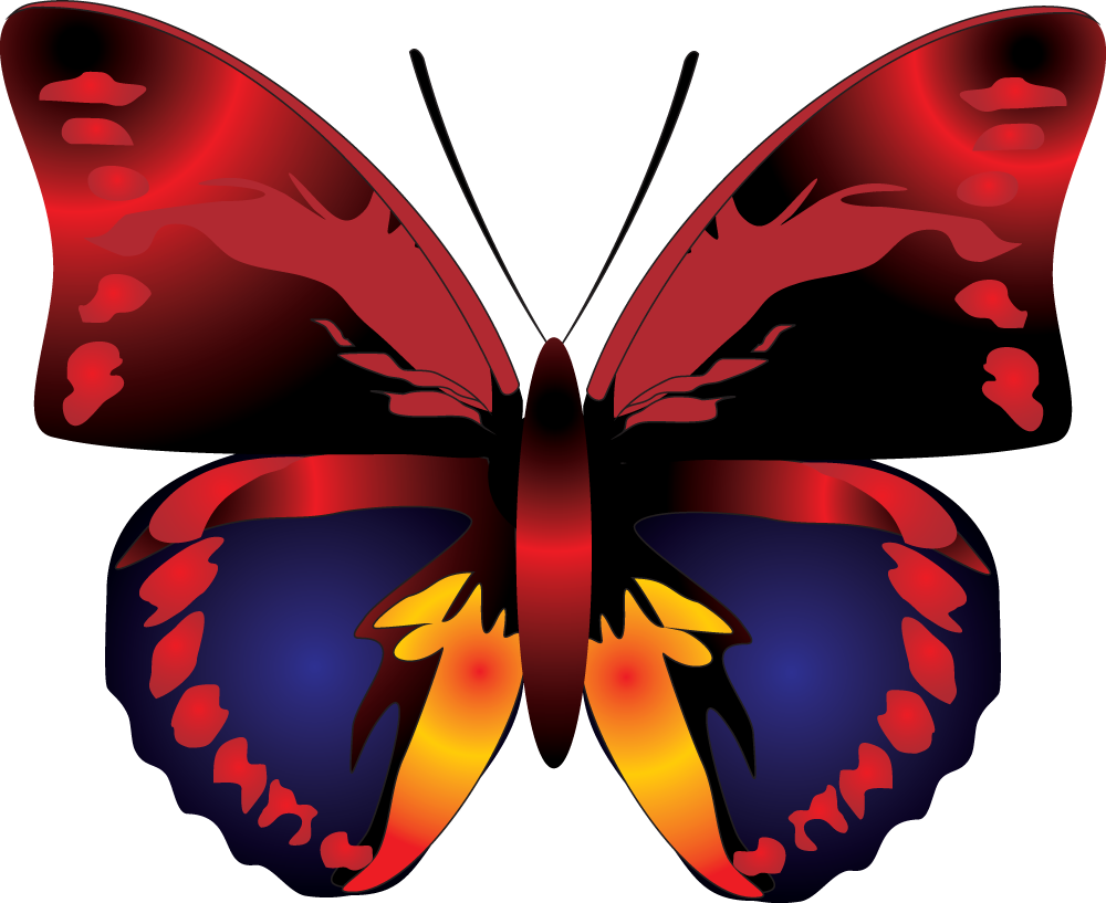 Mariposa PNG