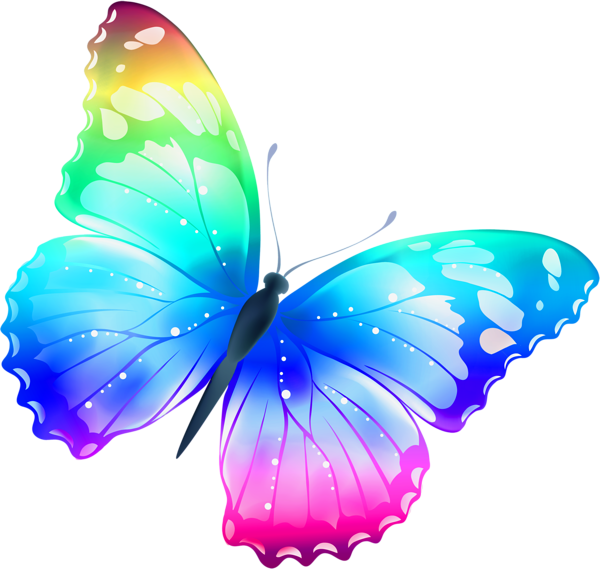 Colorful butterfly PNG image