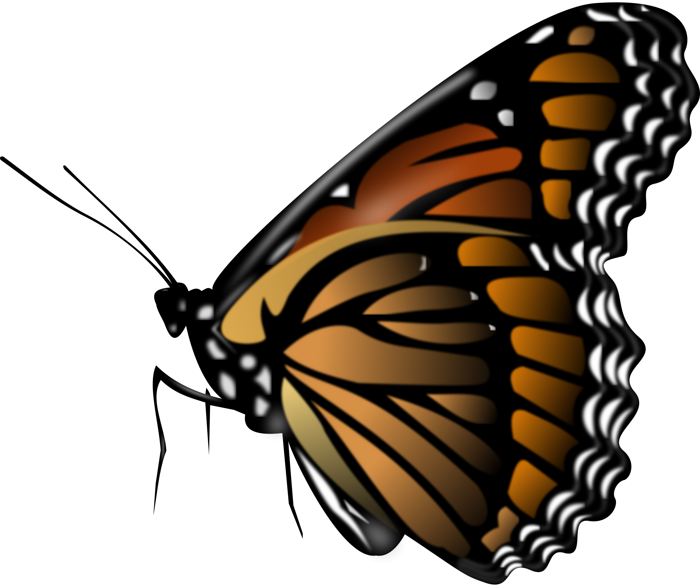 Mariposa PNG