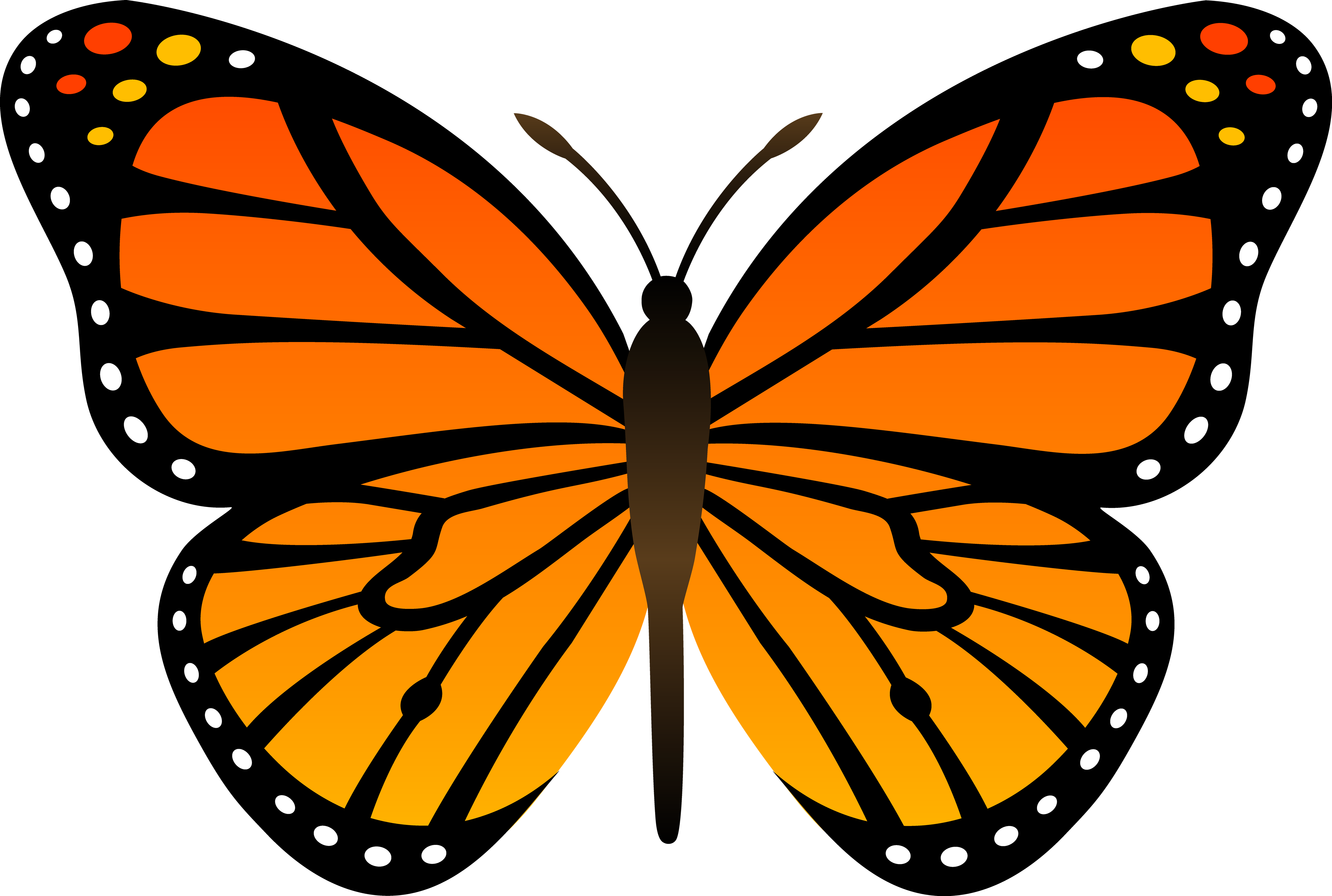 free butterfly clipart png - photo #17