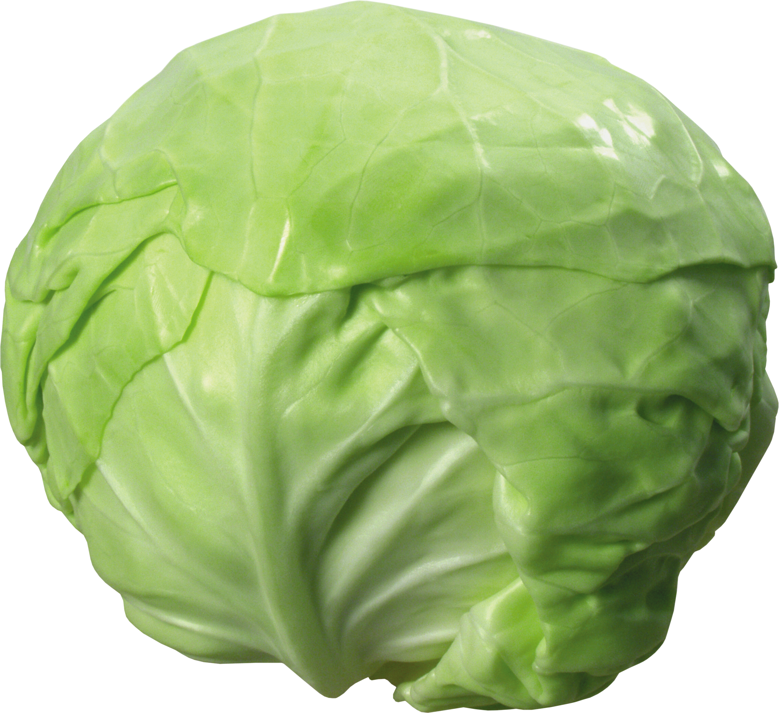 Cabbage PNG image