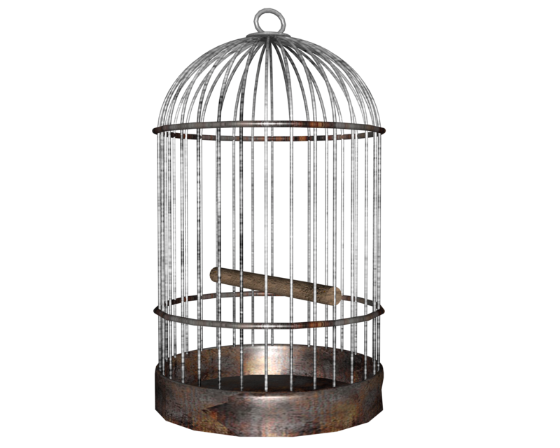 cage-bird-png