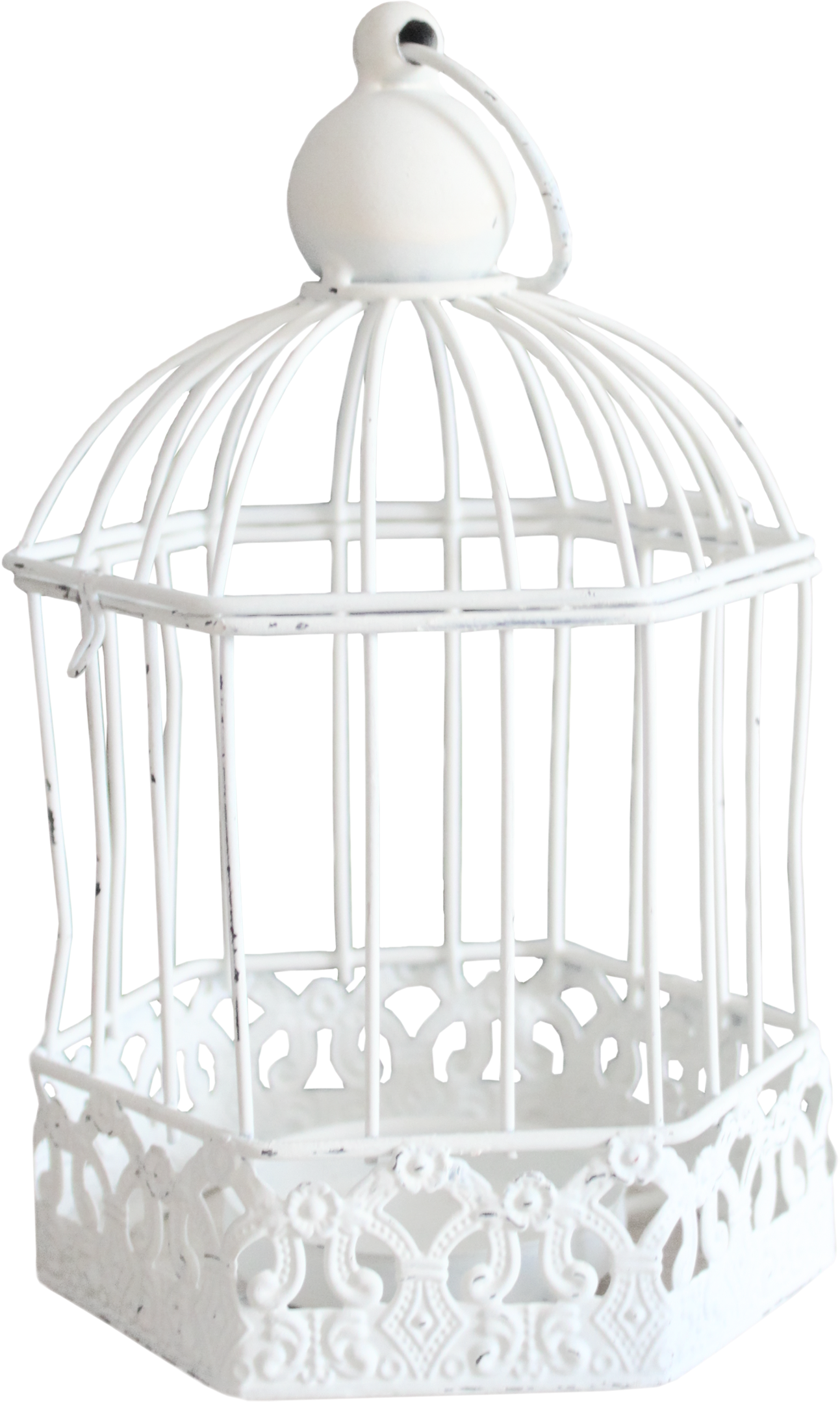 Cage PNG images Download 