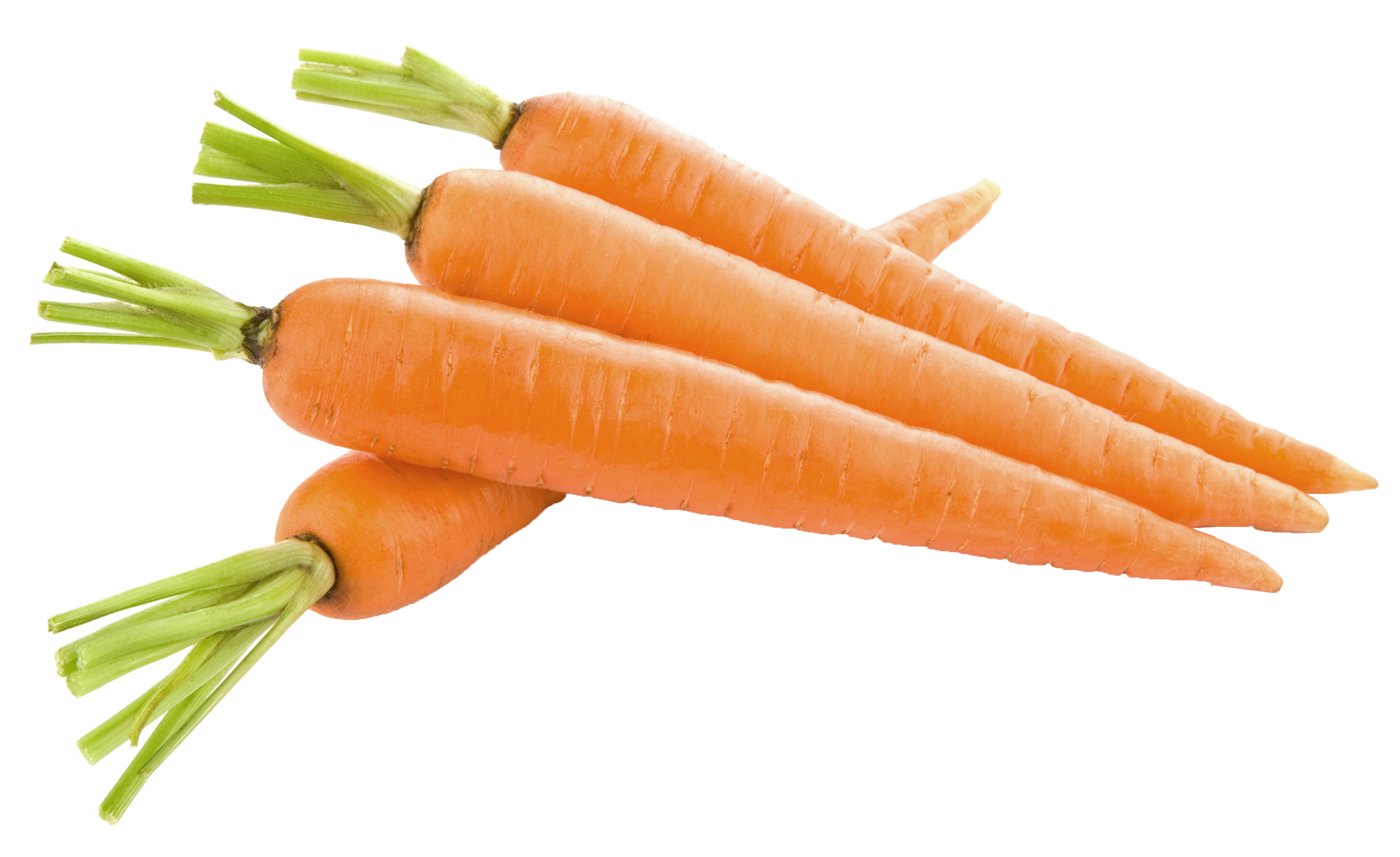 Carrot PNG Image