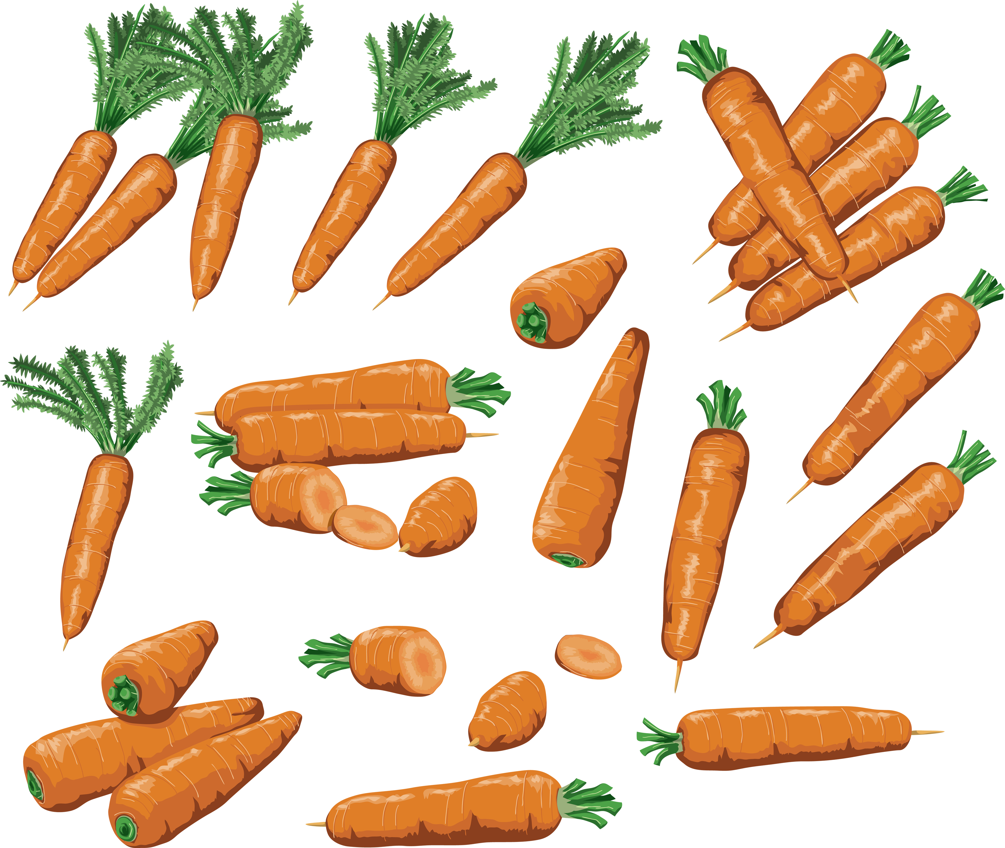 Carrots PNG image