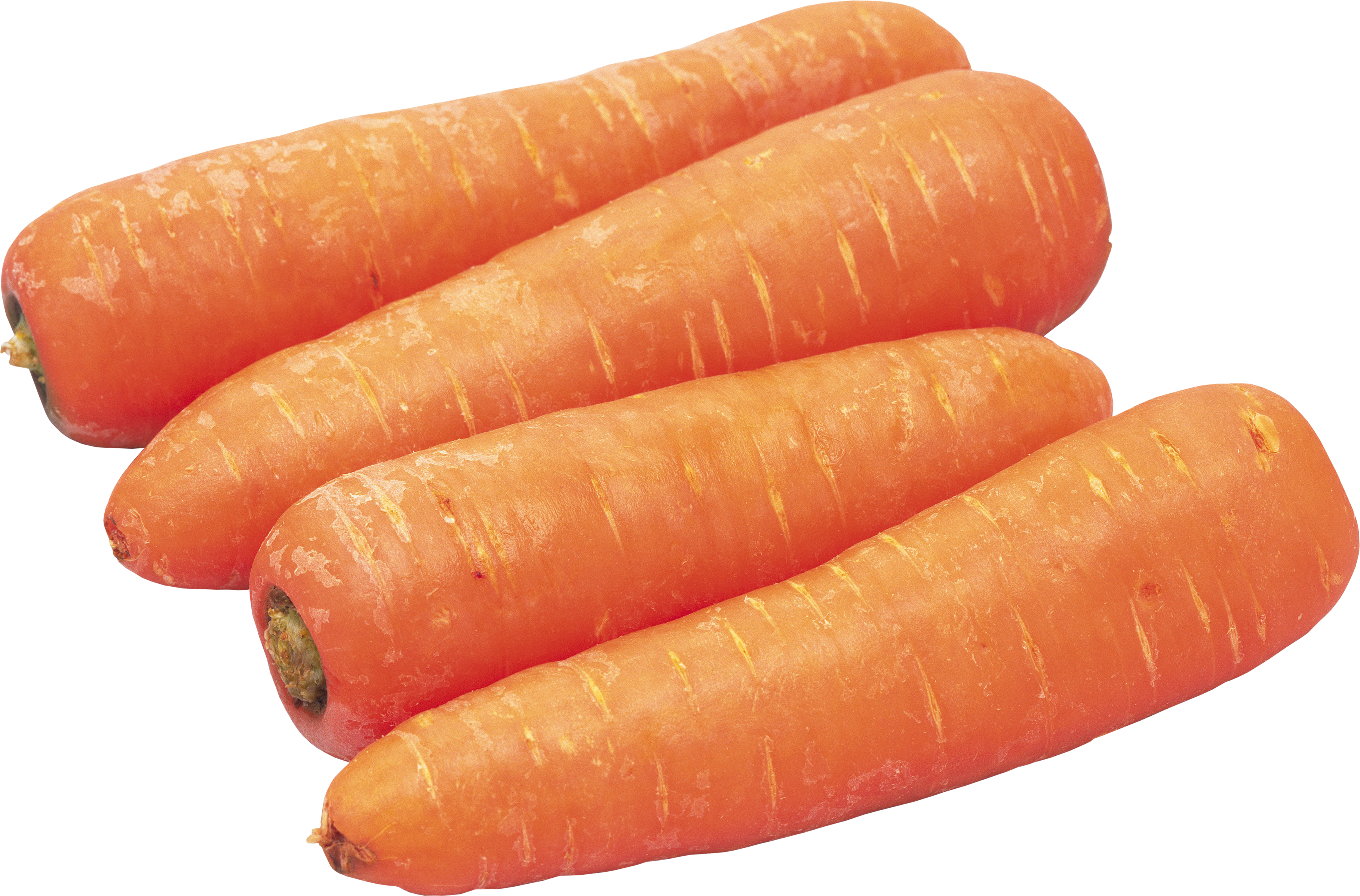 Zanahoria PNG