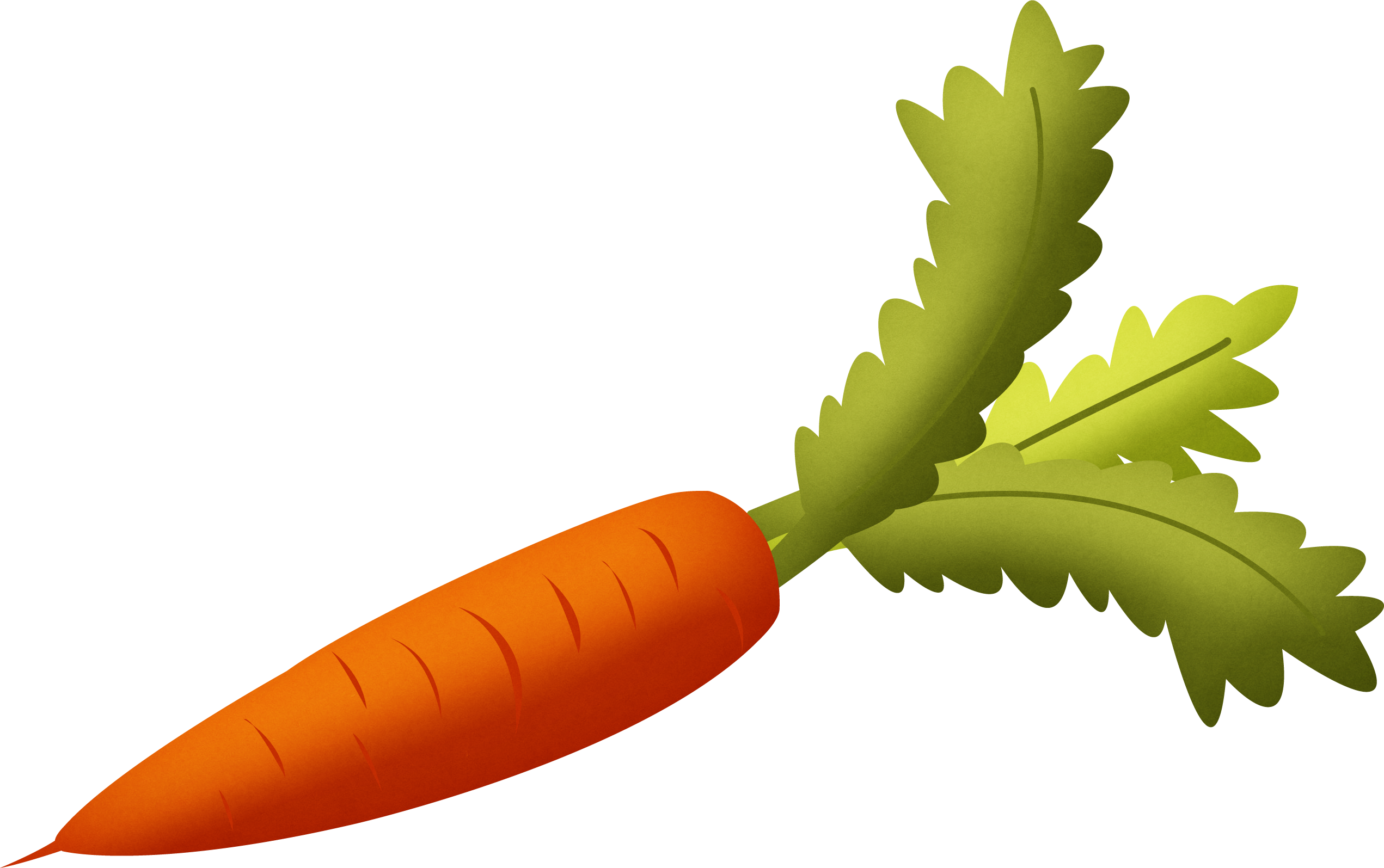 Carrot PNG