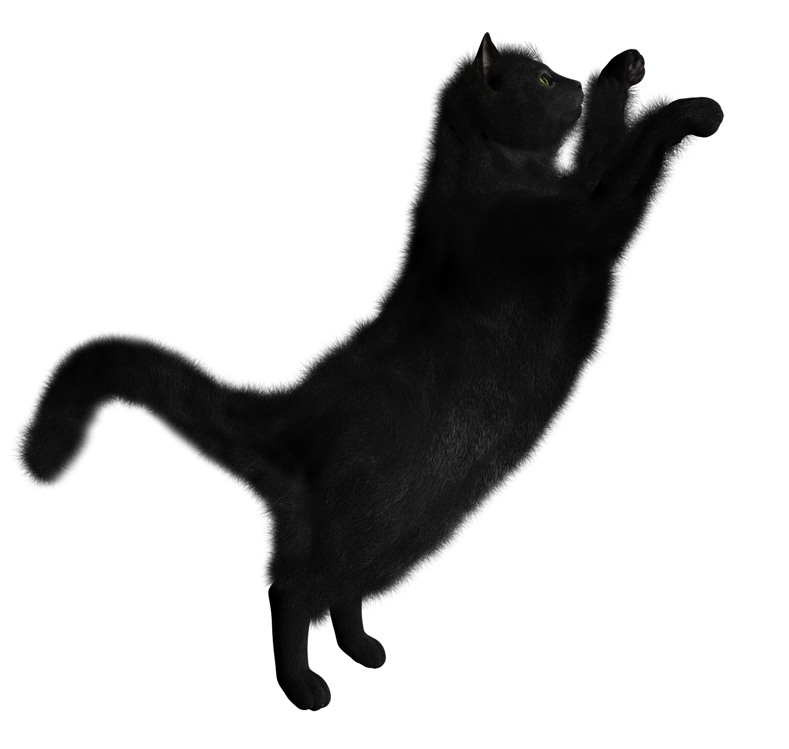 Black Cats PNG images Download image